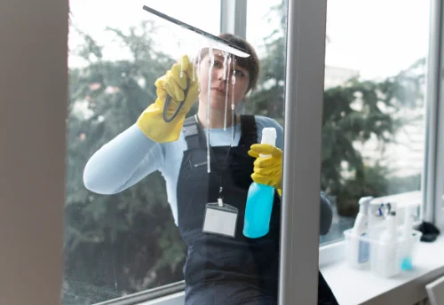 Nettoyage de vitres intérieures et extérieures à Moyrazès